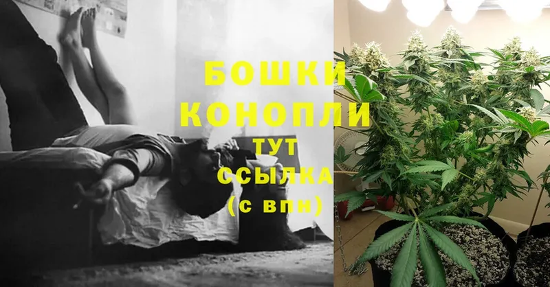 кракен сайт  Остров  Марихуана THC 21% 